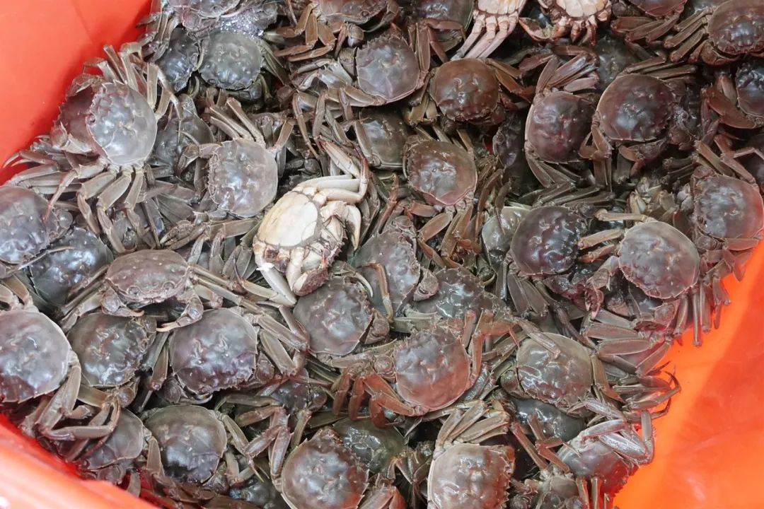 DƬ